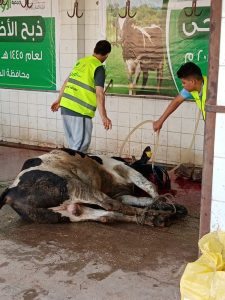 بالمجان.. ذبح 3067 أضحية للمواطنين والجمعيات بمجازر محافظة الجيزة خلال عيد الأضحى(صور) 36 - جريدة المساء