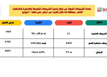 198 مليون جنيه لتمويل المشروعات الصغيرة ومتناهية الصغر خلال العام الحالي بقنا 17 - جريدة المساء