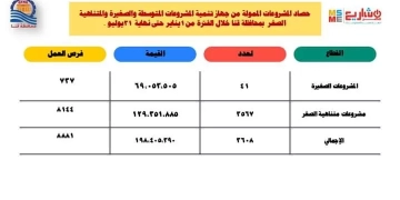 198 مليون جنيه لتمويل المشروعات الصغيرة ومتناهية الصغر خلال العام الحالي بقنا 1 - جريدة المساء