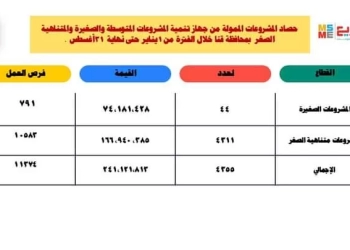 241 مليون جنيه لتمويل المشروعات الصغيرة خلال العام الجارى بقنا 31 - جريدة المساء