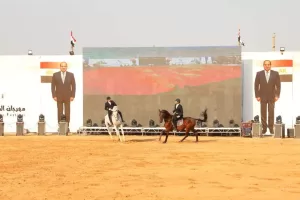 اشادة جماهيرية بمهرجان الشرقية للخيول العربية 41 - جريدة المساء