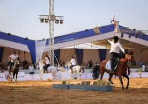 اشادة جماهيرية بمهرجان الشرقية للخيول العربية 23 - جريدة المساء