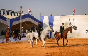 اشادة جماهيرية بمهرجان الشرقية للخيول العربية 53 - جريدة المساء