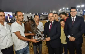 مجسمات لأحصنة جامحة للمتسابقين الفائزين بمسابقة "جمال الخيل" بمهرجان الشرقية للخيول العربية 33 - جريدة المساء