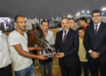 مجسمات لأحصنة جامحة للمتسابقين الفائزين بمسابقة "جمال الخيل" بمهرجان الشرقية للخيول العربية 21 - جريدة المساء