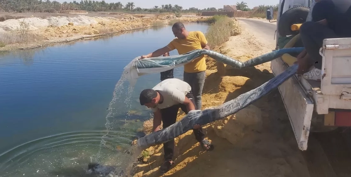 إلقاء مليون زريعة أسماك ببحيرات سيوة 19 - جريدة المساء