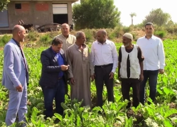 الزراعة: رئيس شؤون المديريات يتابع في الفيوم كارت الفلاح وضبط منظومة الاسمدة 17 - جريدة المساء