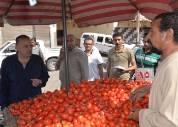 محافظ أسيوط يتفقد سوق الباعة الجائلين ويوجه برفع كفاءته تمهيداً لطرح الباكيات للإيجار 16 - جريدة المساء