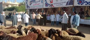 بالتعاون مع "بيطري الجيزة".. «مستقبل وطن» يعالج 6431 حيوانا خلال قافلة مجانية بمنشأة القناطر 23 - جريدة المساء