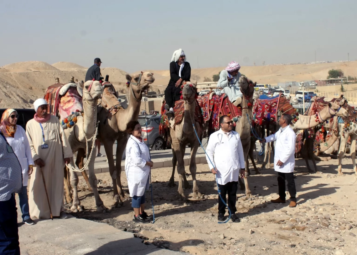 "بيطري الجيزة" تعالج 9008 من الخيول والجمال خلال 30 قافلة مجانية 19 - جريدة المساء