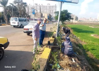 ضمن المبادرة الرئاسية "100 مليون شجرة"..  إستمرار زراعة الأشجار بمركز دسوق  32 - جريدة المساء