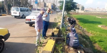 ضمن المبادرة الرئاسية "100 مليون شجرة"..  إستمرار زراعة الأشجار بمركز دسوق  1 - جريدة المساء