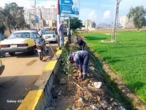 ضمن المبادرة الرئاسية "100 مليون شجرة"..  إستمرار زراعة الأشجار بمركز دسوق  19 - جريدة المساء