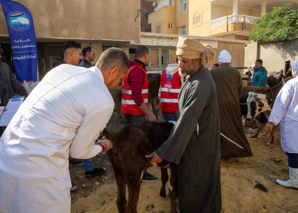 أمانة الزراعة والفلاحين بحزب مستقبل وطن بالفيوم تنظم قافلة بيطرية مجانية  17 - جريدة المساء