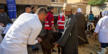 أمانة الزراعة والفلاحين بحزب مستقبل وطن بالفيوم تنظم قافلة بيطرية مجانية  1 - جريدة المساء