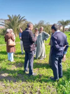 أنشطة إرشادية لمزارعي الجوافة والبرسيم الحجازي بقرية شدمو بالفيوم 27 - جريدة المساء