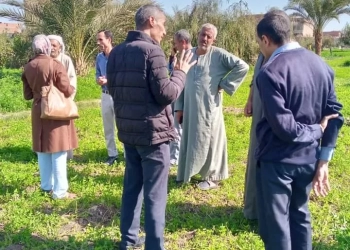 أنشطة إرشادية لمزارعي الجوافة والبرسيم الحجازي بقرية شدمو بالفيوم 23 - جريدة المساء