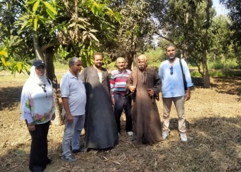 "الزراعة" تقدم الدعم الفني والإرشادي لمزارعي البساتين بمحافظة الغربية 17 - جريدة المساء