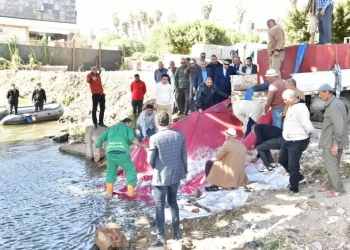 محافظ الدقهلية يشهد إلقاء مليون وحدة زريعة سمكية في النيل بالمنصورة 33 - جريدة المساء