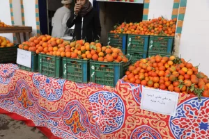 الطماطم ب٦جنيهات.. محافظ الجيزة يفتتح معرض السلع الغذائية والمستلزمات المنزلية بأسعار مخفضة بموقع سوق السمك القديم بحي جنوب(صور) 63 - جريدة المساء