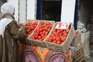 الطماطم ب٦جنيهات.. محافظ الجيزة يفتتح معرض السلع الغذائية والمستلزمات المنزلية بأسعار مخفضة بموقع سوق السمك القديم بحي جنوب(صور) 61 - جريدة المساء