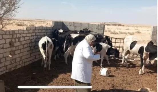 الزراعة:الطب بيطري في شمال سيناء للحفاظ على الثروة الحيوانية من خلال المبادرة الرئاسية ”بداية جديدة لبناء انسان 19 - جريدة المساء