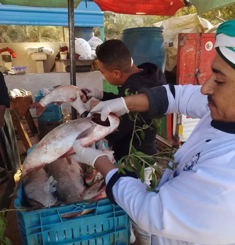 اعدام 188 كيلو جرام اغذية منتهية الصلاحية فى حملة تفتيشية بالوادي الجديد. 19 - جريدة المساء