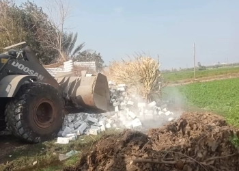 محافظ بني سويف: إزالة 55 حالة "بعد مرور أسبوع" على بدء المرحلة  الثالثة من حملات  الموجة الـــ 24 لإزالة التعديات 33 - جريدة المساء