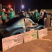 فريق "Menofia Racing Team" بهندسة شبين ينافس 50 فريقا على مستوى العالم فى مسابقة shell eco marathon 3 - جريدة المساء