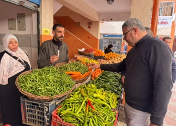 محافظة الجيزة: معرض جديد للسلع الأساسية والخضروات والفواكه بالطالبية بأسعار مناسبة للمواطنين 22 - جريدة المساء