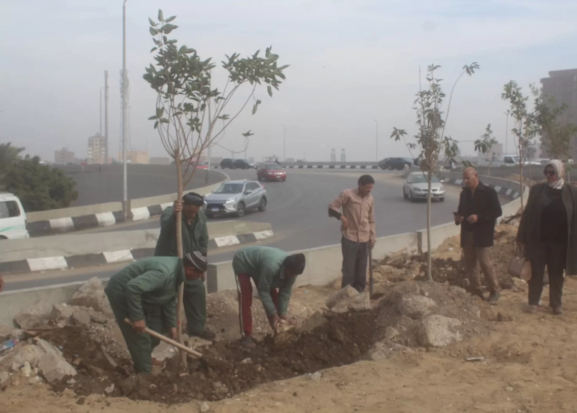 أحد محاور المتحف الكبير | تنفيذ المرحلة الأولى لتشجير دائري المريوطية ضمن مبادرة ١٠٠ مليون شجرة 19 - جريدة المساء