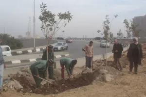 أحد محاور المتحف الكبير | تنفيذ المرحلة الأولى لتشجير دائري المريوطية ضمن مبادرة ١٠٠ مليون شجرة 23 - جريدة المساء