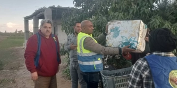 حماة الوطن يوزع البطاطين ضمن مبادرة "شتاء دافئ" بالقنطرة غرب 1 - جريدة المساء