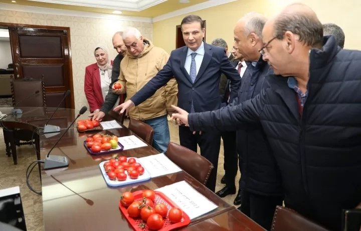 "الزراعة" تنجح في استنباط ٨ أصناف جديدة من تقاوي الطماطم 17 - جريدة المساء