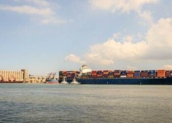 68 ألف طن بضائع عامة وتصدير ٢٢٦ حاوية خضار وفاكهة من ميناء دمياط إلى الخليج وأوروبا 32 - جريدة المساء