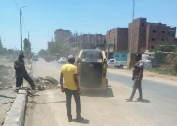 رفع 120 طن تراكمات بكوم أمبو و 50 طن بكلابشة في حملات للنظافة بأسوان 27 - جريدة المساء