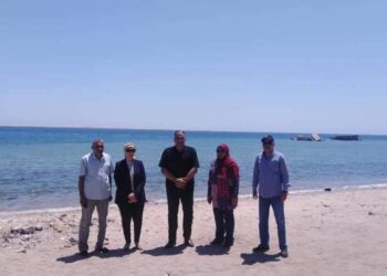 رئيس مدينة سفاجا تتفقد تطوير الميناء وترسانة إصلاح السفن 32 - جريدة المساء