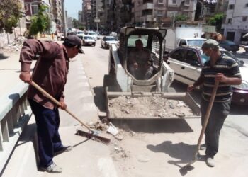 رفع 450 طن قمامة وصيانة كشافات وأعمدة الإنارة بشوارع الدقهلية 33 - جريدة المساء