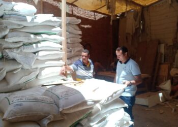 ضبط 9.5  أطنان سكر وأرز  "مجهولة المصدر" في بني سويف 35 - جريدة المساء