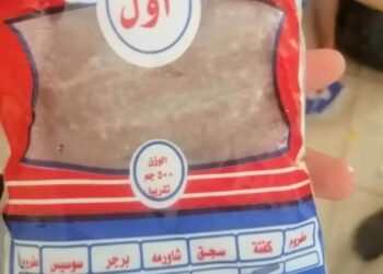بيطرى البحرالأحمر يضبط لحوم مجمدة  وأغذية غير صالحة للاستخدام الأدمي بالغردقة 21 - جريدة المساء