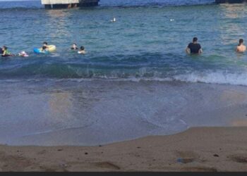 رئيس الادارة المركزية للمصايف :تغيير لون مياه البحر يؤكد سلامة البيئة البحرية بالاسكندرية 21 - جريدة المساء