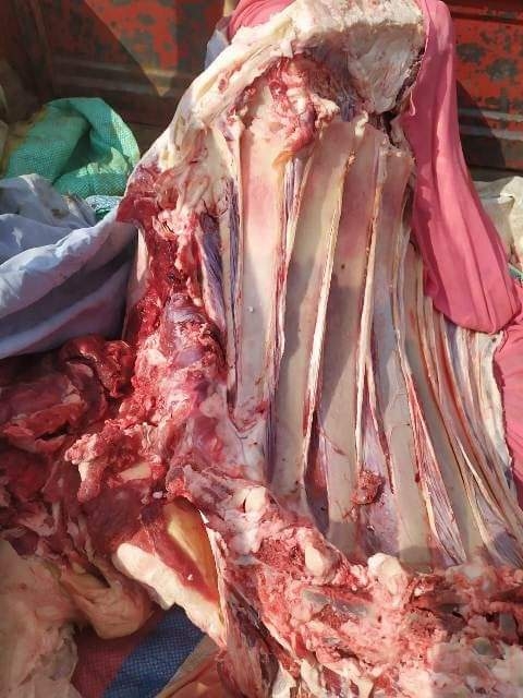 ضبط طن دواجن ولحوم منتهية الصلاحية بالشرقية 19 - جريدة المساء