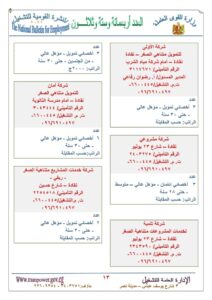القوى العاملة: 1931 وظيفة تنتظرك بمرتبات من 1200جنيه إلي 3750 جنيها 27 - جريدة المساء