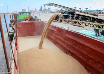 39843 طنًا حركة الصادر من البضائع العامة بميناء دمياط 35 - جريدة المساء