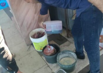 اعدام (٥٦٧) كيلو أغذية متنوعةفي حملة بدمياط 13 - جريدة المساء