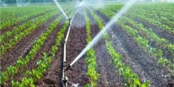 ترشيد إستهلاك المياه في الزراعة باستخدام طرق الري الحديث في ندوه بالشرقية 1 - جريدة المساء