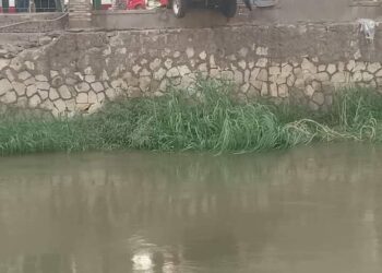  الركاب قفزوا من الميكروباص  قبل السقوط في بحر مويس بالشرقية 31 - جريدة المساء