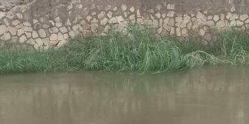  الركاب قفزوا من الميكروباص  قبل السقوط في بحر مويس بالشرقية 1 - جريدة المساء