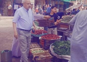 "معجل" يقود حملة مكبرة لرفع الإشغالات بشوارع "الحسينية" 17 - جريدة المساء