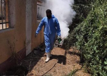 صحة المنيا تواصل حملاتها للتطهير والتعقيم ومكافحة ناقلات ومسببات الأمراض 22 - جريدة المساء